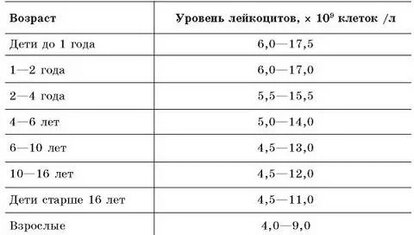 Почему лейкоциты в крови повышены: причины и лечение