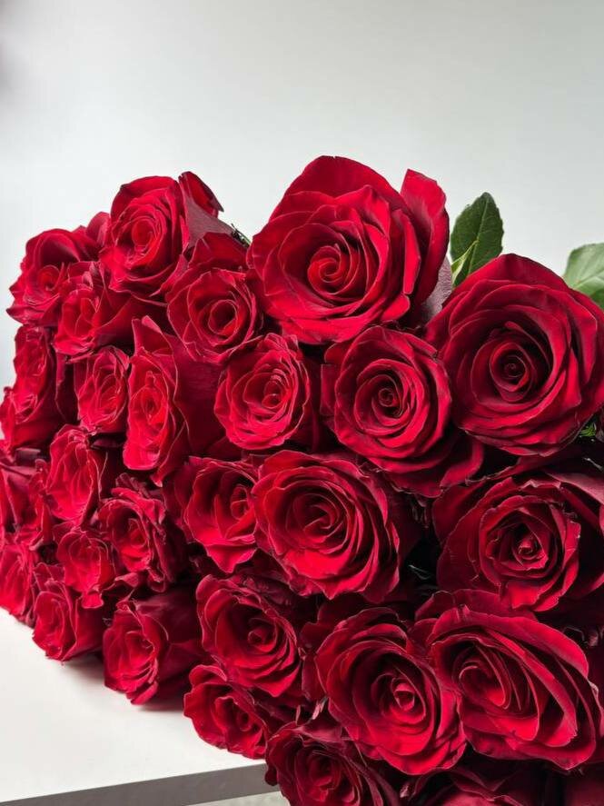 импортная роза