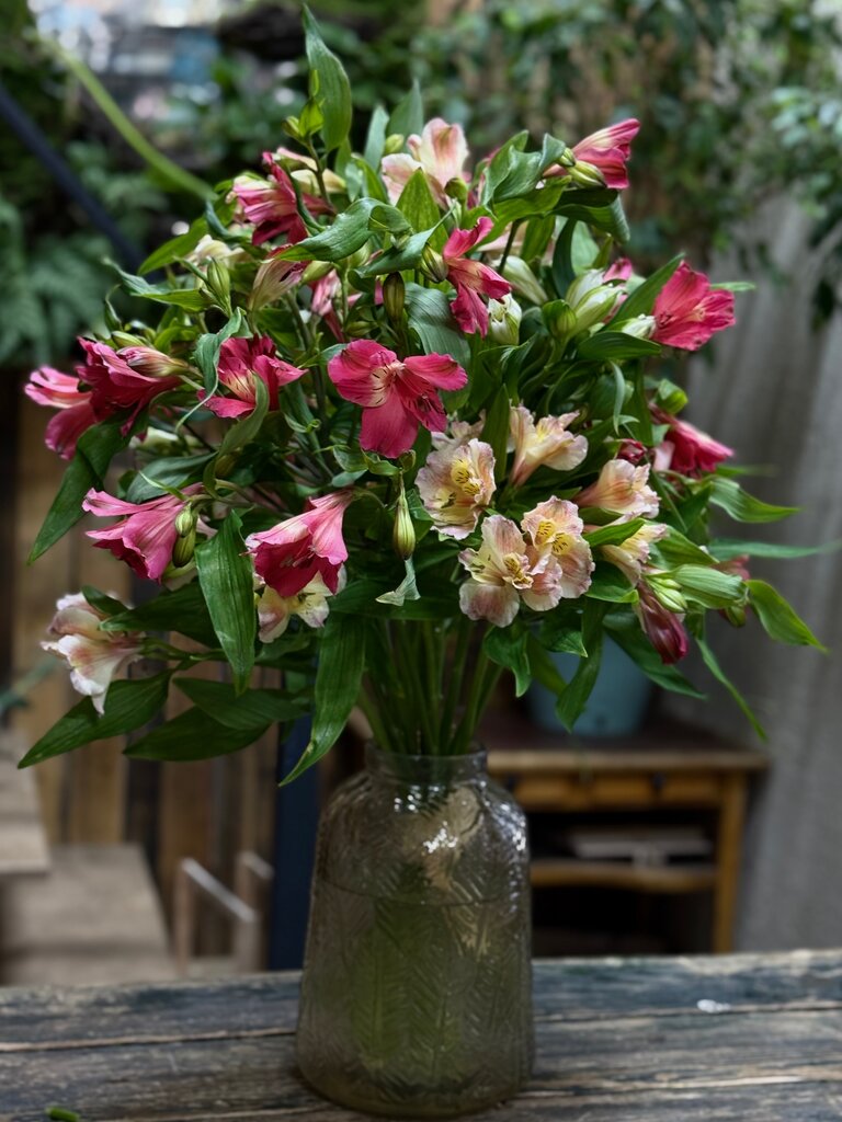 Моно-букет из Альстромерий