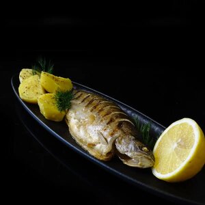 Форель радужная