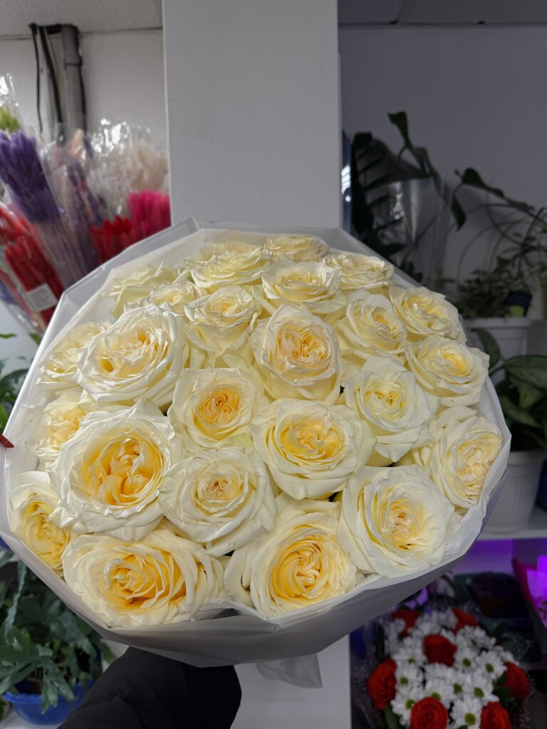 Роза пионовидная Эквадор Канделайт 50-70см