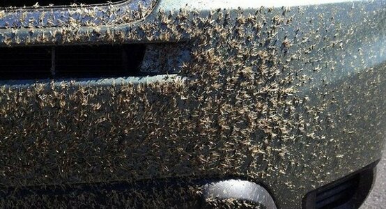 Бампер передний амулет: Секретный щит вашего авто, о котором молчат продавцы