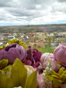 Апартаменты Апартаменты Пятница/ Монтана/ до 5 чел/ Ул.Возрождения 51/ от центра 3км