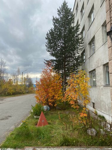 Гостиница Аэропорт Мурманск в Туломе