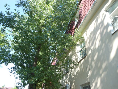 Апартаменты Первомайская 7 в Ейске