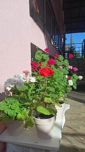 Апартаменты ул. Осетинская, 30/а в Гагре