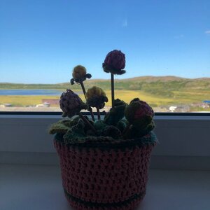 отель Школьная, д. 7