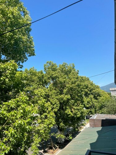 Апартаменты Проспект Ардзинба 235 в Гагре