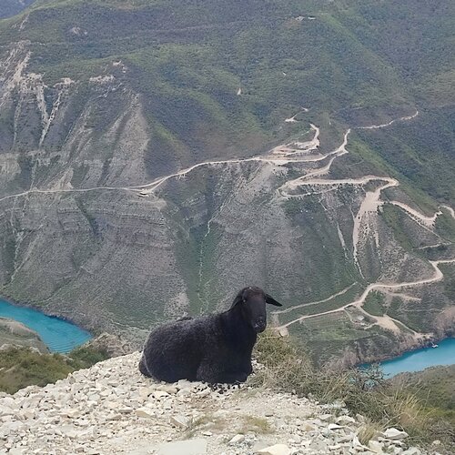 Квартира Сулакский каньон  98 в Хасавюрте