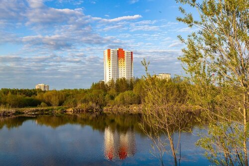 Апартаменты Набережный проспект, 29 в Сургуте