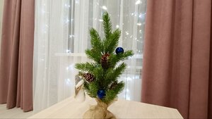 Квартира Хорошо как дома на Толстого10