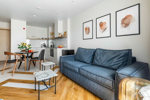 Апартаменты DESIGN во Владимирском округе