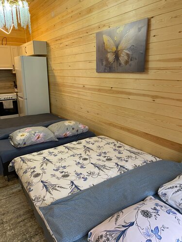 Апартаменты Апартаменты с отдельным входом в гостевом доме в Суздале