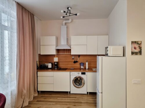 Апартаменты Рыжий Кот Комфорт (красивая квартира возле Вокзала) в Барнауле