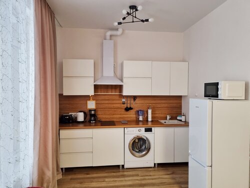 Апартаменты Рыжий Кот Комфорт (красивая квартира возле Вокзала) в Барнауле