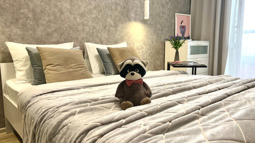 Апартаменты Апартаменты Сканди в Районе имени Лазо