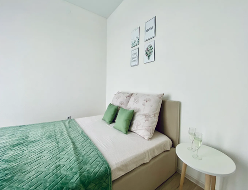 Квартира Гостим посуточно в Комфортной однокомнатной квартире ЖК Скандия в Червишевском сельском поселении