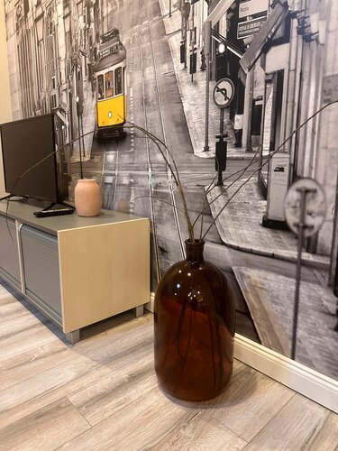 Апартаменты  Апартаменты на Мира с Проектором для уютного киновечера в Богослове