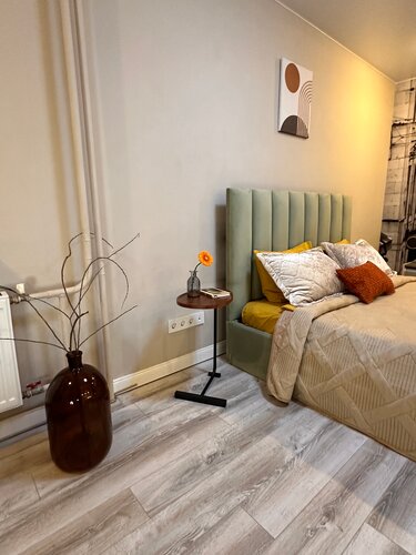 Апартаменты  Апартаменты на Мира с Проектором для уютного киновечера в Богослове