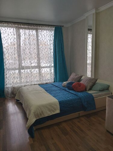 Квартира Светлая 1-комнатная  квартира в Воронежской области