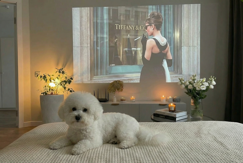 Квартира Современная квартира с проектором  в Новочебоксарске