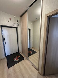 Апартаменты Революции 52в