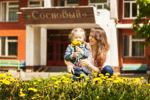 Иное жильё Сосновый в Удмуртской Республике