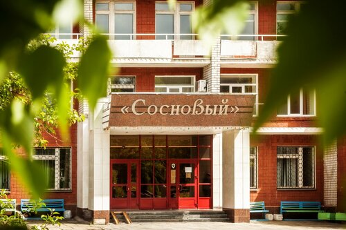 Иное жильё Сосновый в Удмуртской Республике