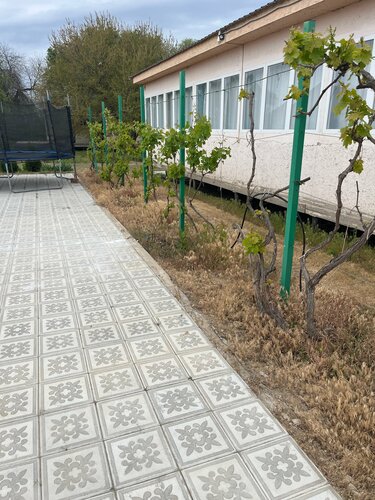 Дом в аренду Заманиха в Караульном