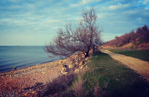 Гостиница Дом Моряка в Ильиче