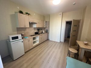 Апартаменты Революции 52в