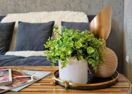 Квартира Рыжий Кот Норд в Барнауле