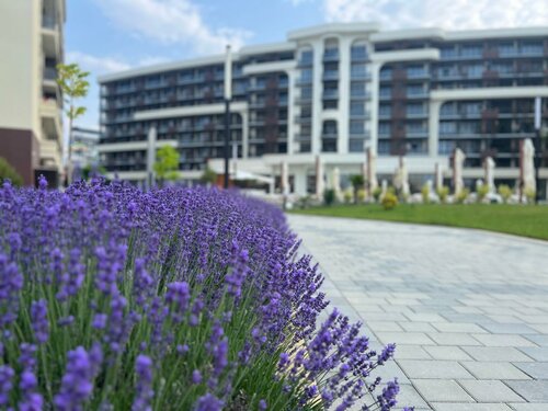 Апартаменты Набережная улица, 75к5 в Судаке