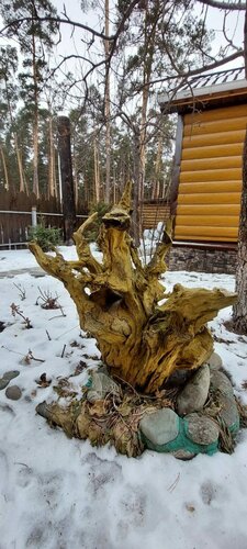 Усадьба у Гришаевых — фото 2