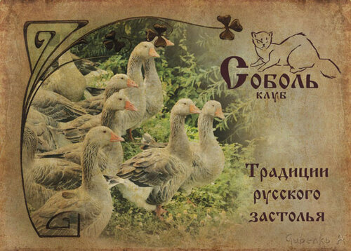 Иное жильё Соболь в Фролах