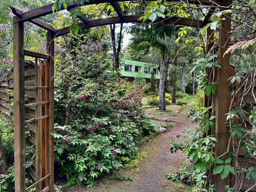Гостиница Forest Relax во Всеволожске