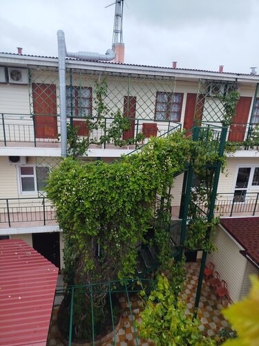 Ангелина  фото 1