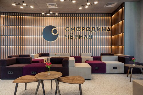 Чёрная Смородина Сколково фото 7