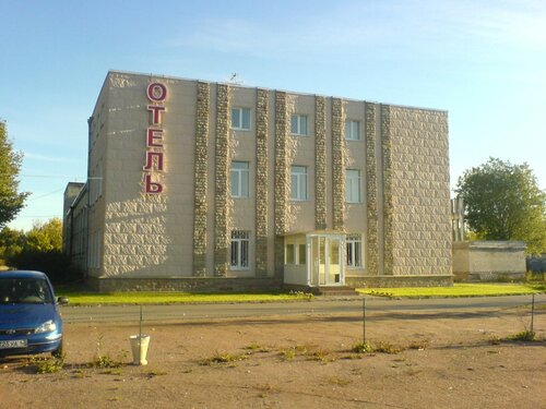 Гостиница Пингвин в Виллозском городском поселении