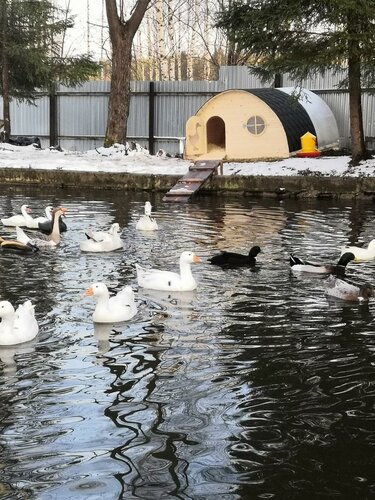 Гостиница Калинка в Устюженском районе