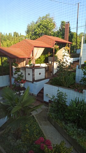 Волгарь фото 6