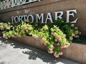 Гостиница Porto Mare
