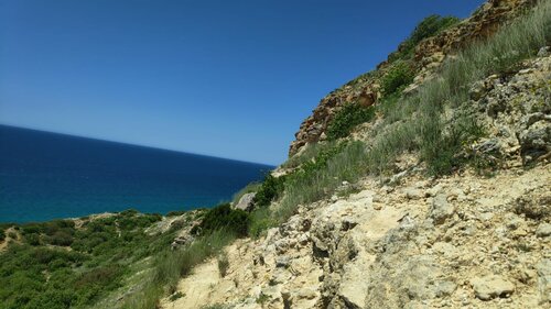 Морская Лига  фото 4