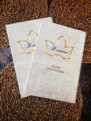 Платан фото 1