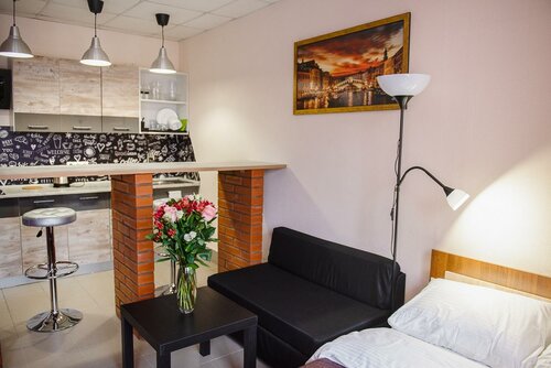 Иное жильё Loft в Партизанском