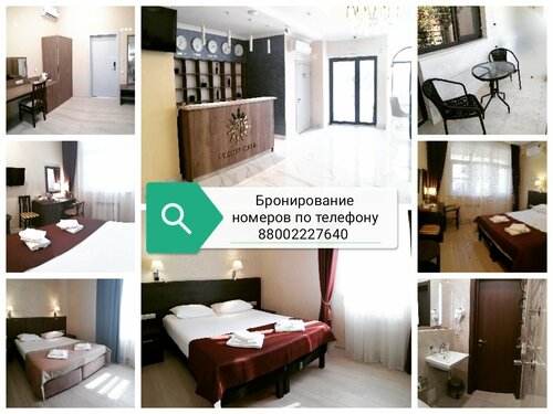 Шамси Холл  фото 2