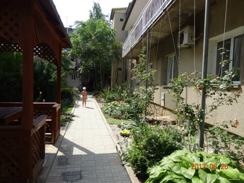 Золотая рыбка  фото 2