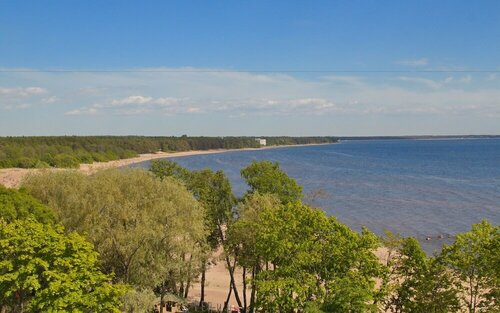 Гостиница Репинская в Курортном районе