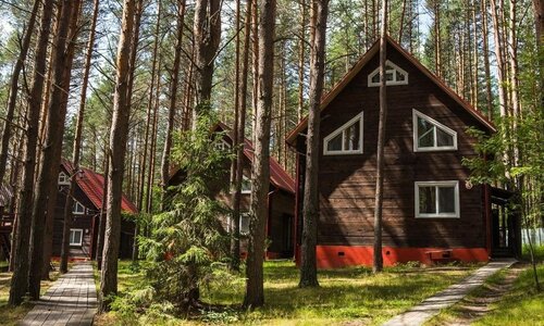 Ягодная деревушка фото 3