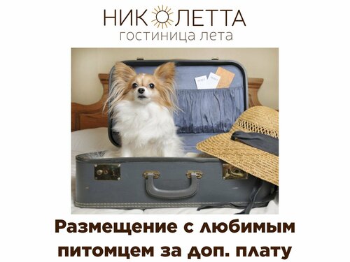 Николетта  фото 2
